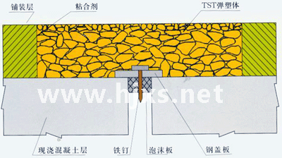 TST��s�p
